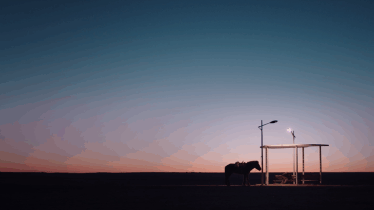 Camerimage 2020: Öndög, the call of the horizon