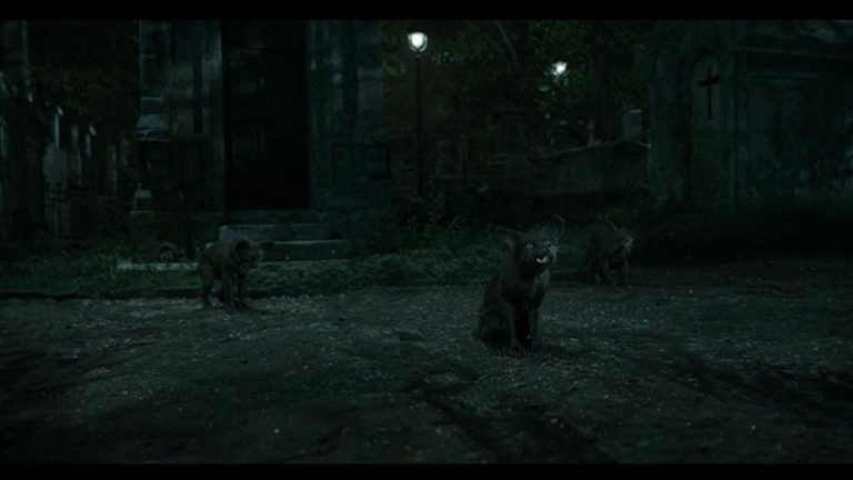 Camerimage 2021: The “night” onscreen – darkness, between naturalism and fantasy