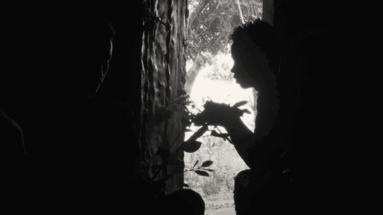 Camerimage 2021: The wrap-up