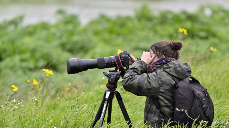 From hide to screen: portraits of wildlife cinematographers (fr/eng)