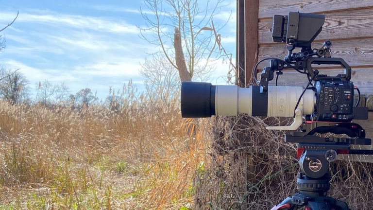 Canon C400 and C80 cameras: compelling arguments