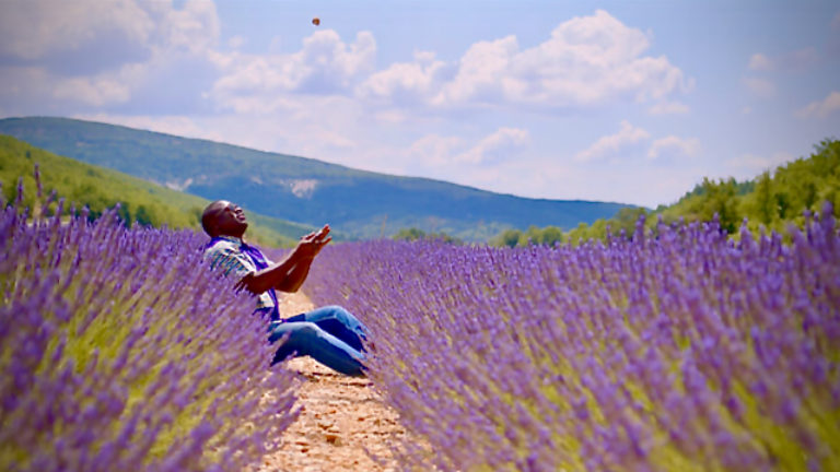 Et l’arbre à donné ses fruits